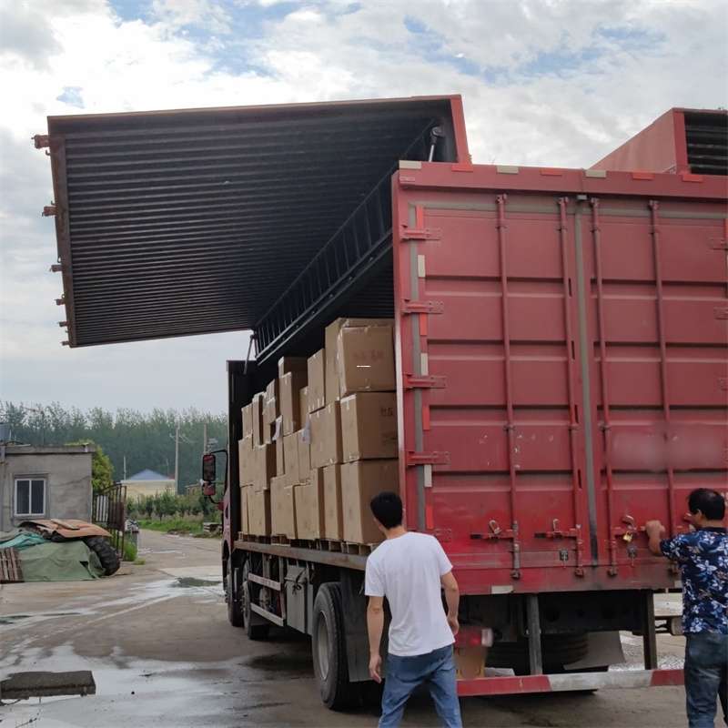 岚山区扎囊县：物流专线的高效货运之旅
